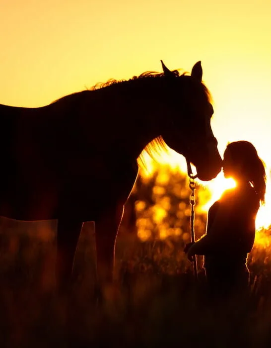girl holding a horse at sunset
