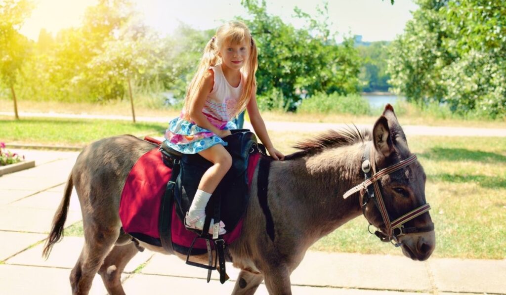 girl riding a donkey