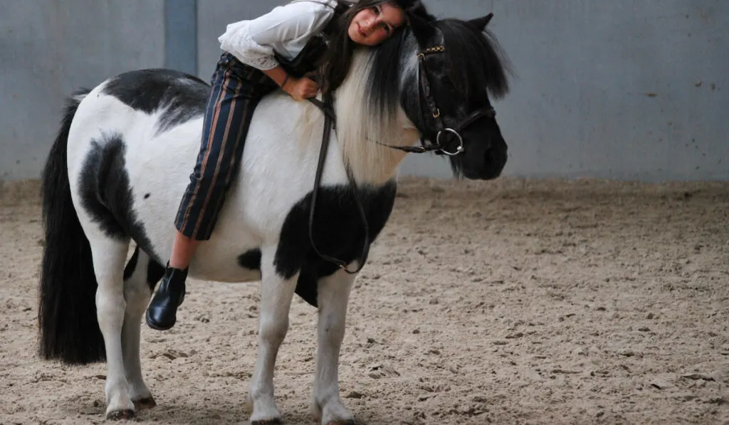 girl riding her favorite Shetland Pony 