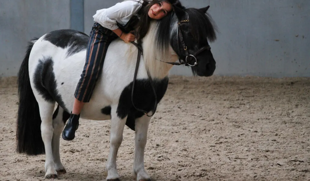 girl riding her favorite Shetland Pony