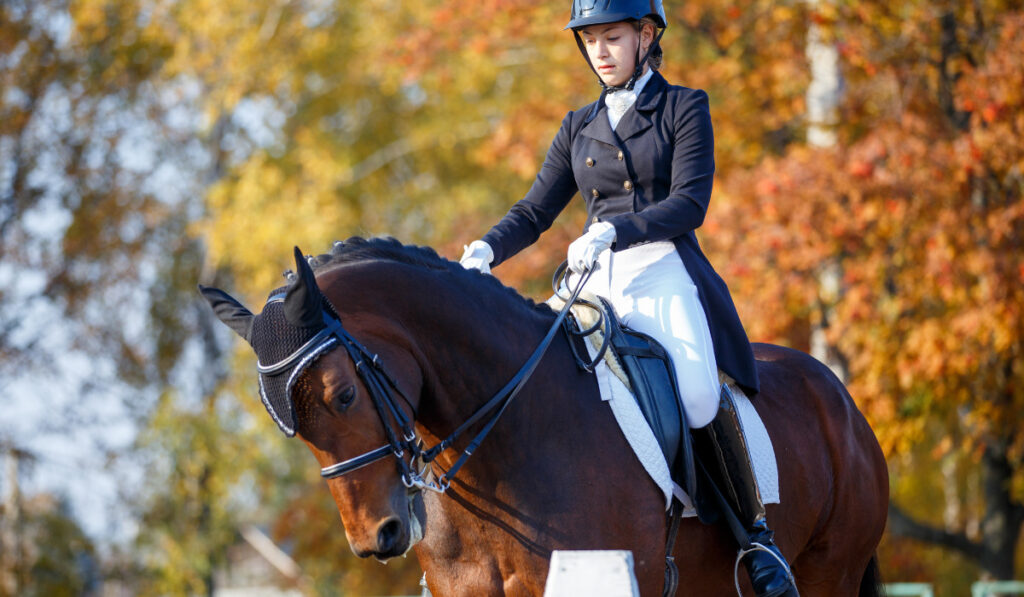 Teenage girl riding horse on equestrian dressage test in autumn
