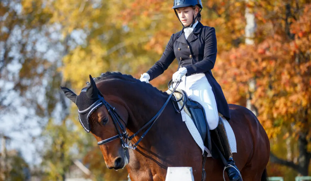 Teenage girl riding horse on equestrian dressage test in autumn
