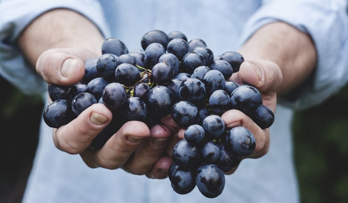 grapes