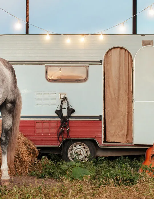 gray horse and a mobile trailer