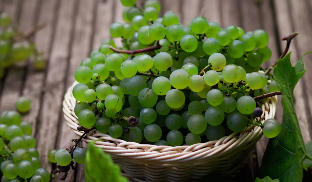 green grapes in a basket