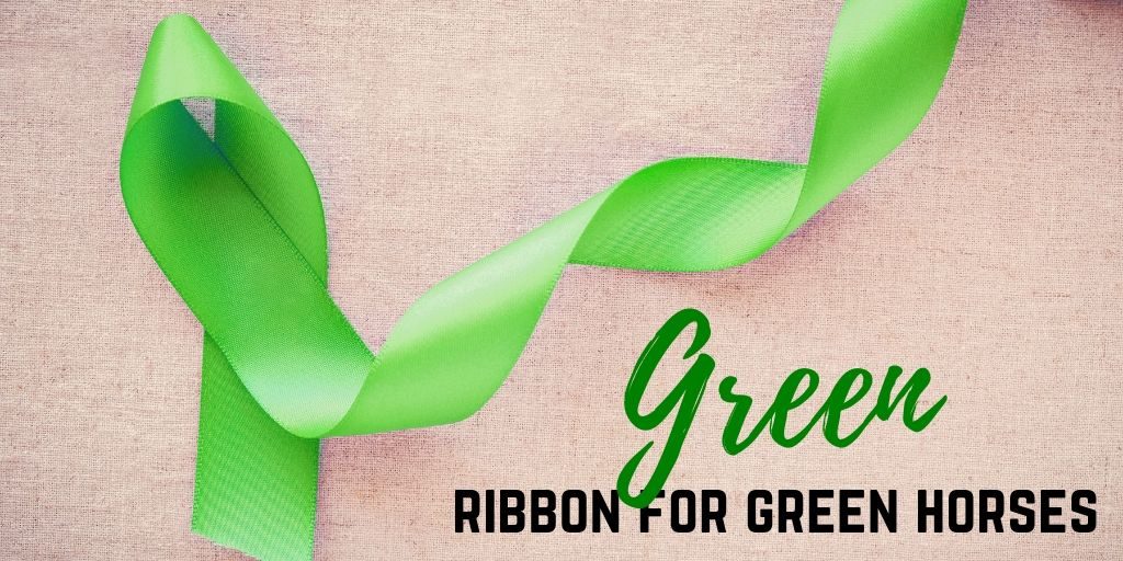 Guide to Horse Tail Ribbon Colors Helpful Horse Hints