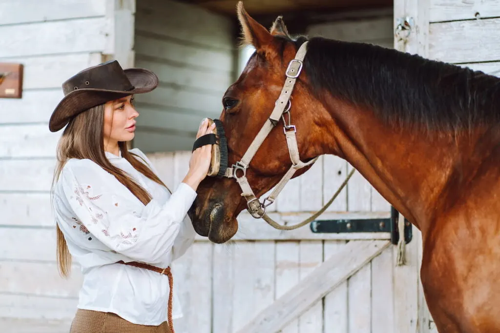 woman grooming horse mane, horse wearing Headgear 