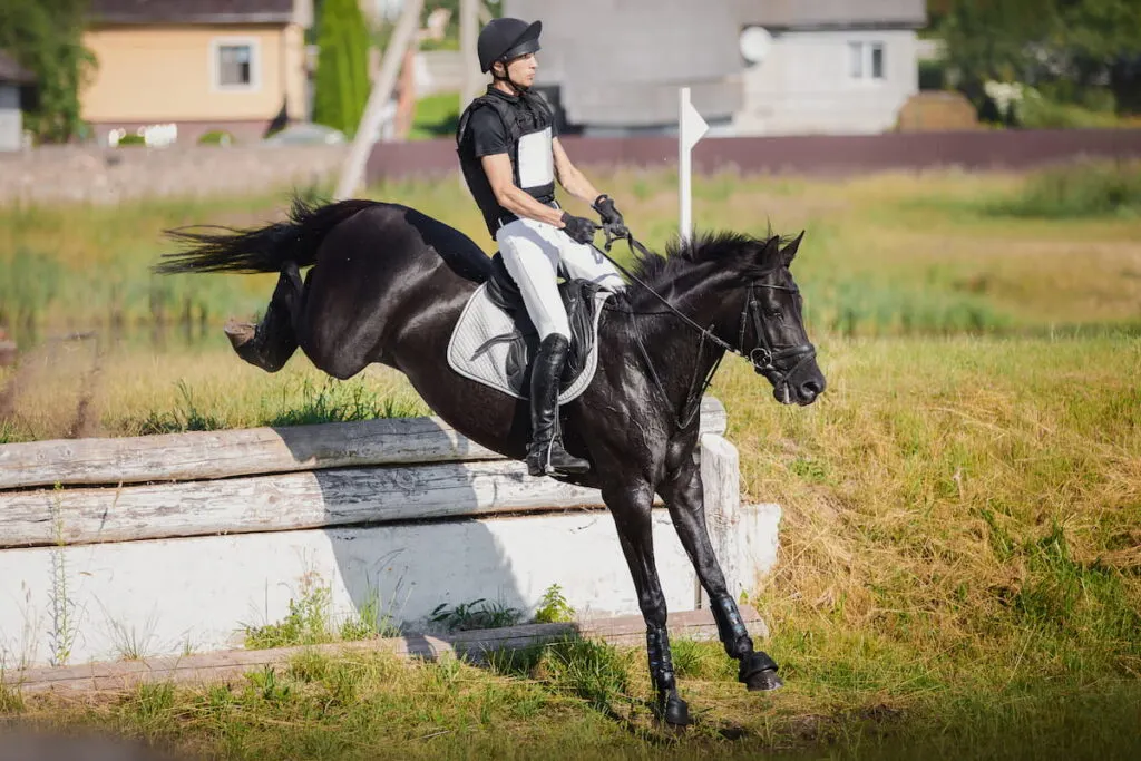 handsome rider man jumping drop fence obstacle 