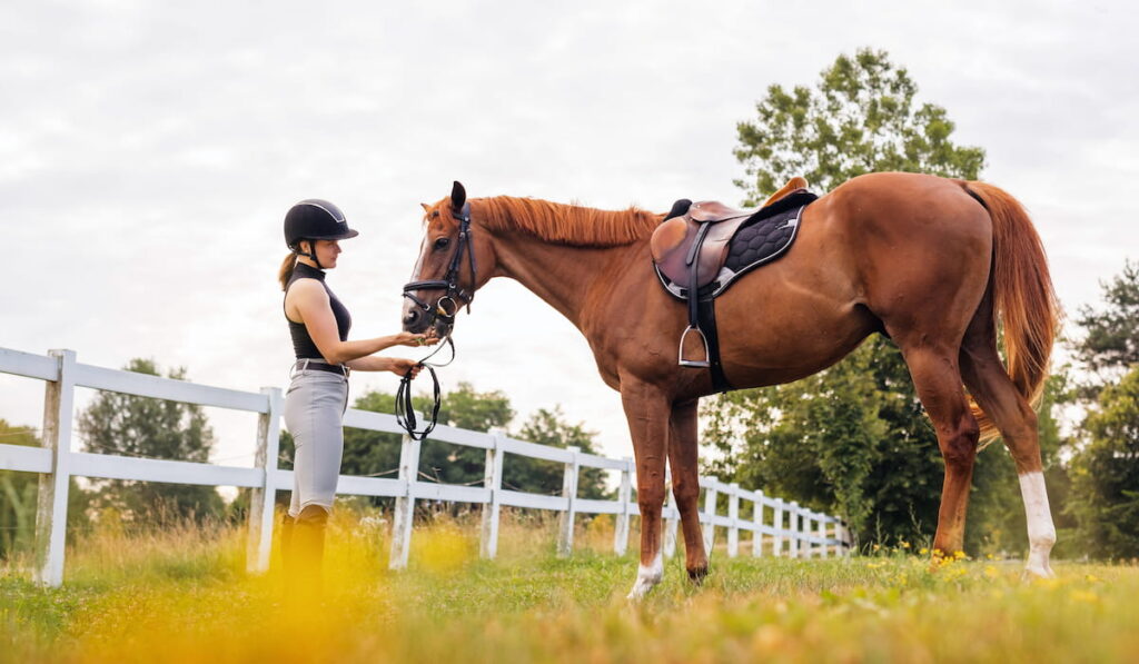 holding the reins and leading