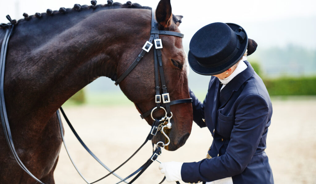 holstein dressage