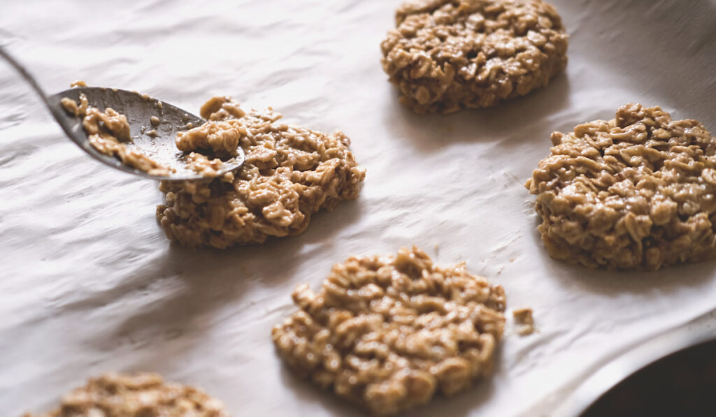 homemade cookies made of oatmeal and apple puree 