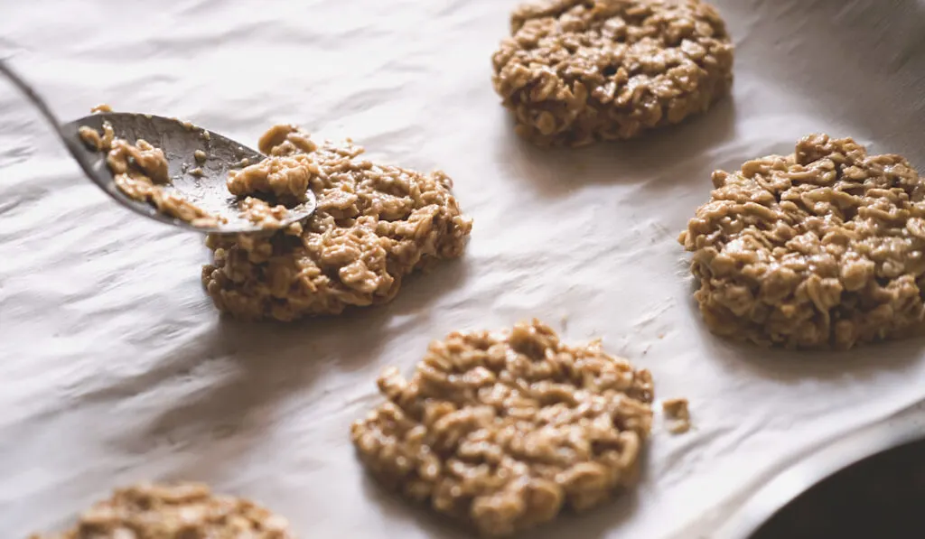 homemade cookies made of oatmeal and apple puree