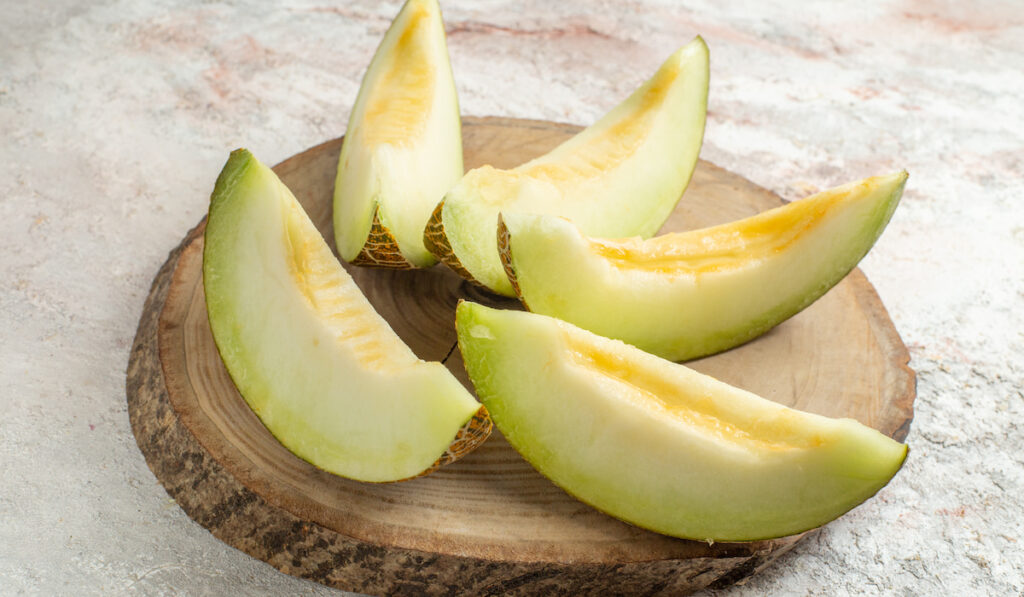 honeydew melon slice