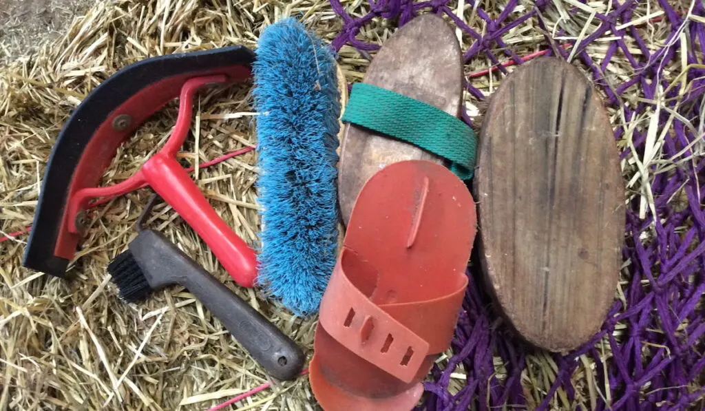 horse grooming tools kit