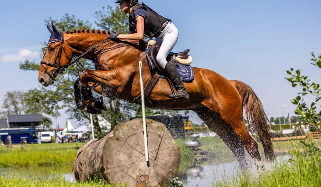 horse and rider in cross country discipline