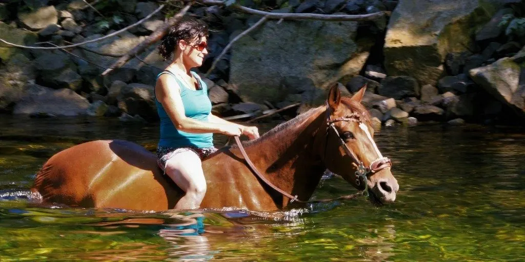 woman swimming with her horse while riding bareback