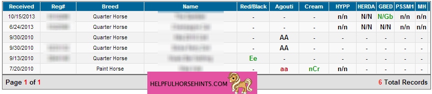 Image of horse genetic test result 