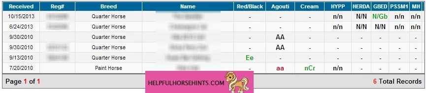 Image of horse genetic test result 