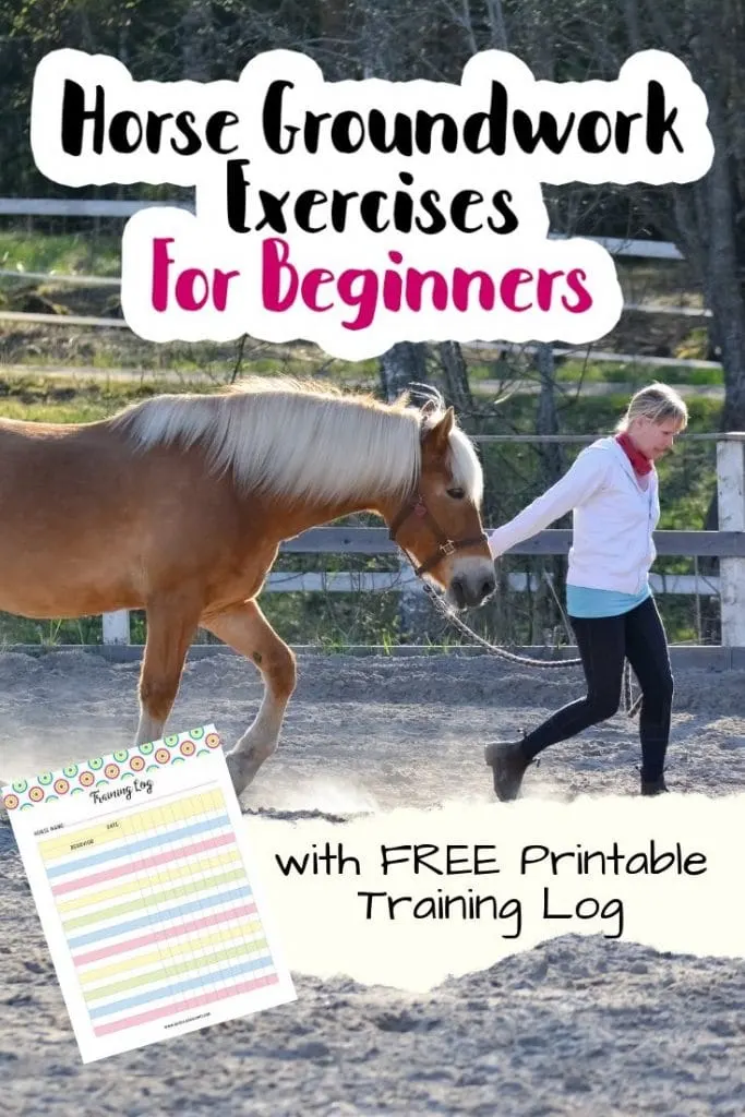 horse ground training checklist
