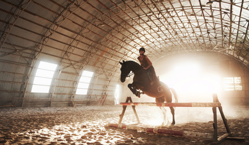 horse jumping obstacle