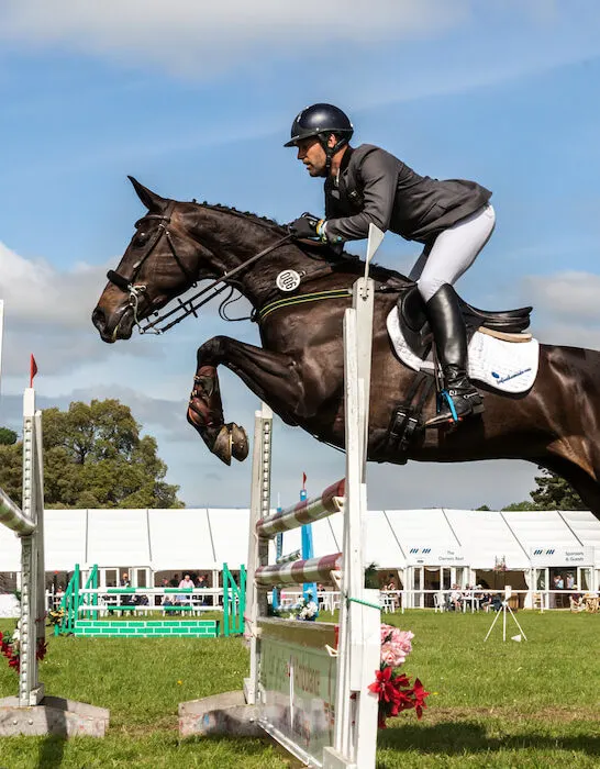 horse jumping of beams in a sporting event