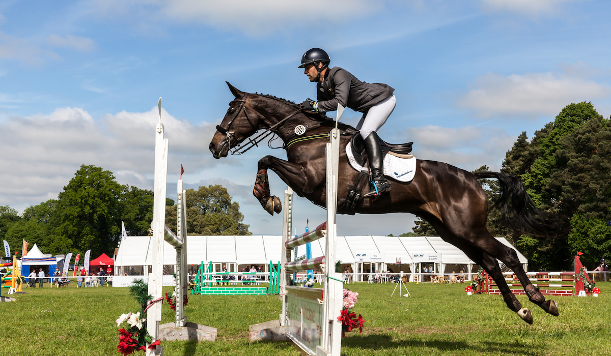 13 Horse Breeds for Eventing - Helpful Horse Hints