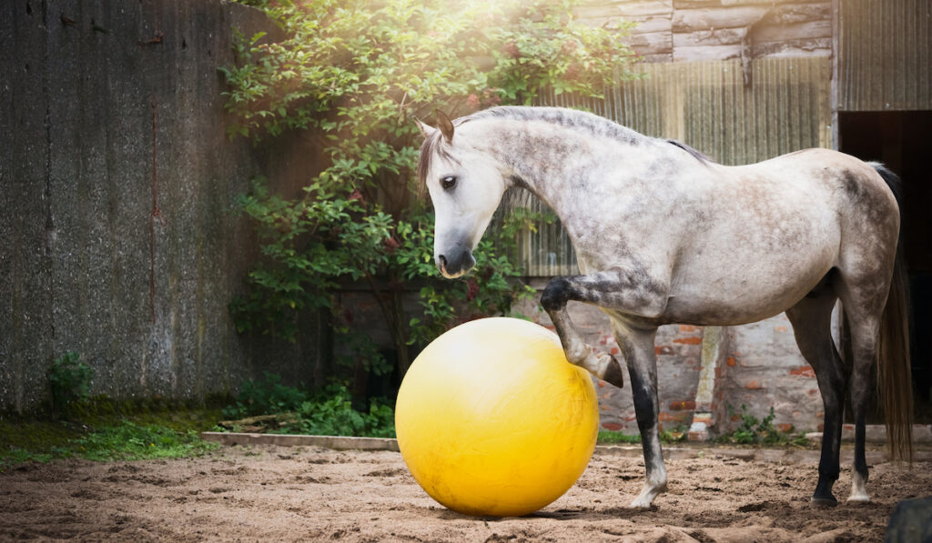 horse paddock toy yellow