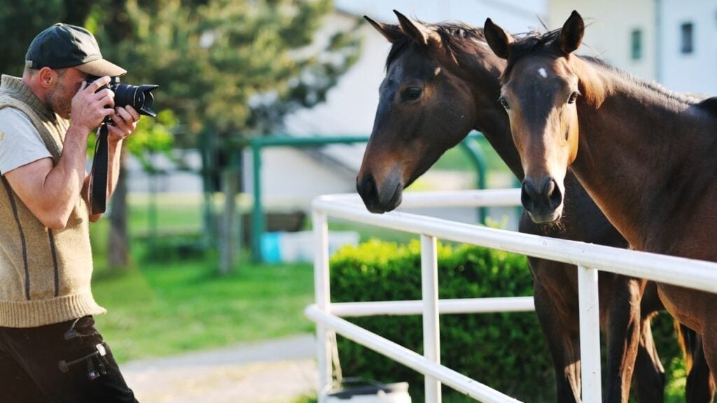 horse photographer