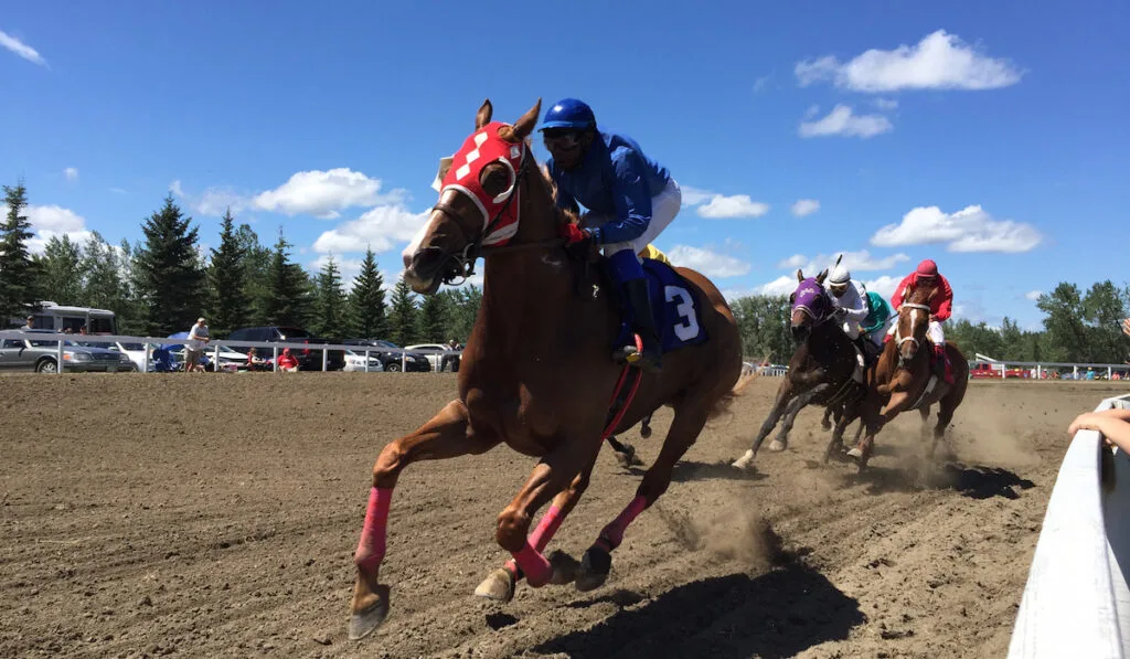 horse racing on turn