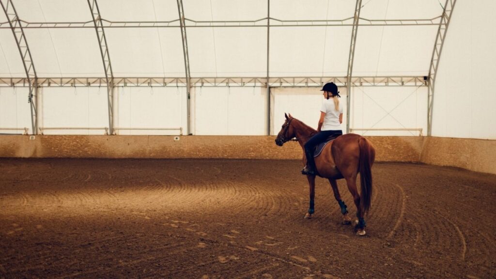 horse riding in watered arena