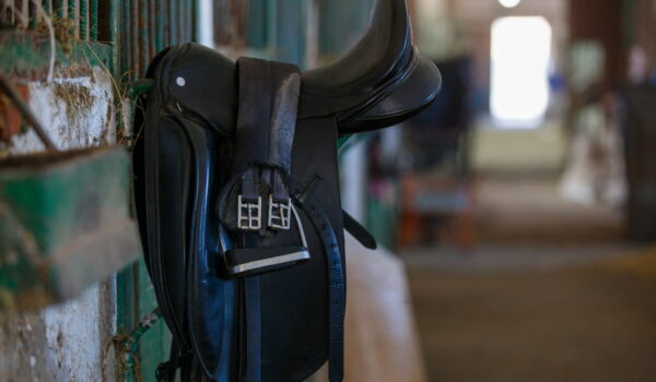 What Tack Do You Need for a Horse: Complete Guide - Helpful Horse Hints