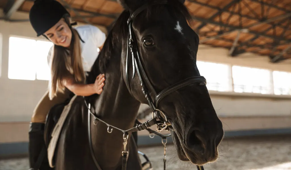 woman riding and holding her black horse