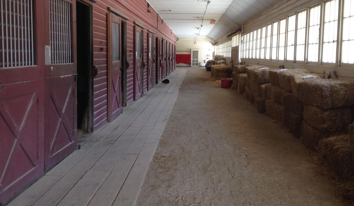 horse stall with wooden floor