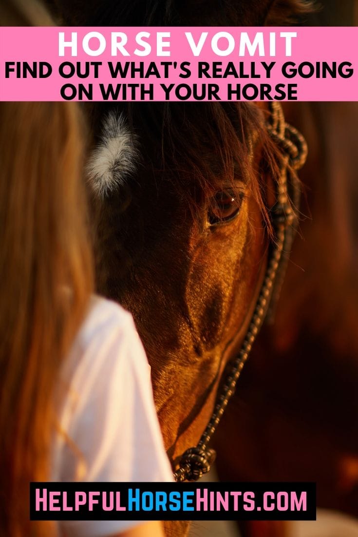 Horse Vomit Find Out What's Really Going On With Your Horse Helpful