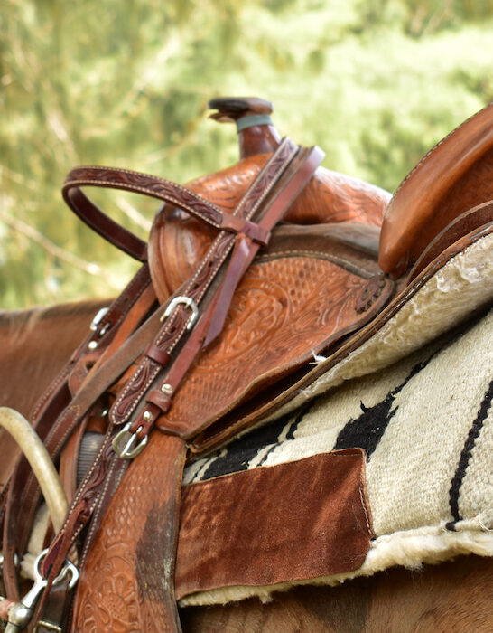 horse wearing a brown leather western saddle