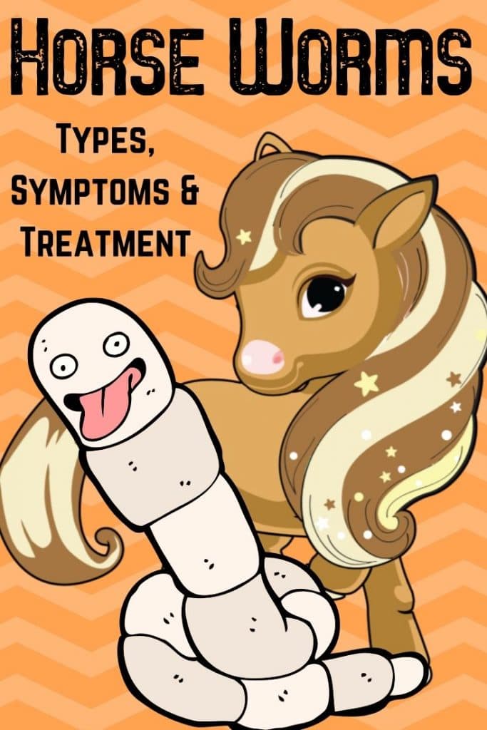 Pinterest pin - Worms In Horses: Types, Symptoms & Treatment Options