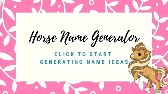 horse name generator tool