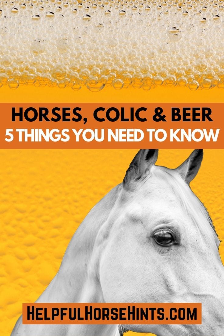 Treating Colic In Horses Beer, Natural Remedies, & When To Call A Vet Helpful Horse Hints