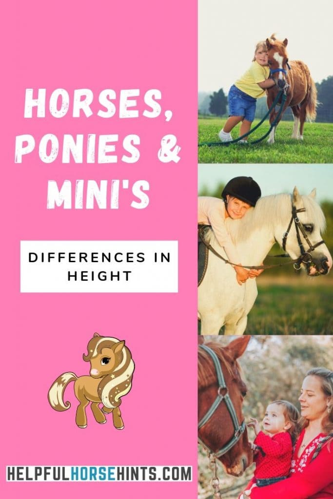 Pinterest Pin - Horses, ponies, a7 minis differences in height