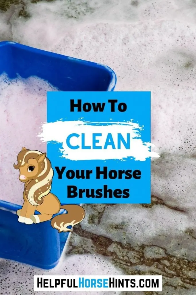 Pinterest pin - Step-by-Step Guide to Cleaning & Disinfecting Horse Brushes