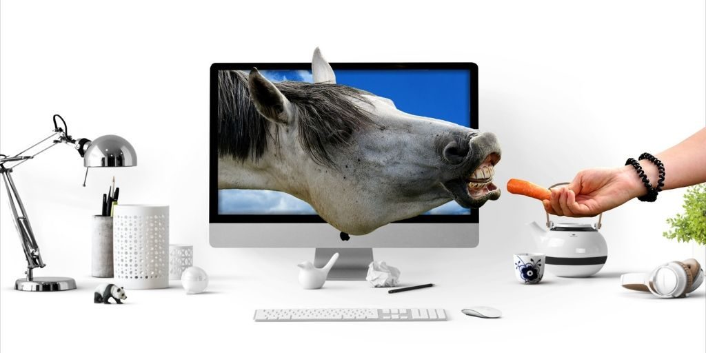 introducing horse treats