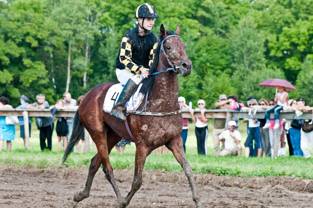 jockey after finish line in the mud on Riding show