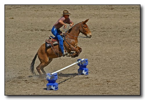 man riding a mule