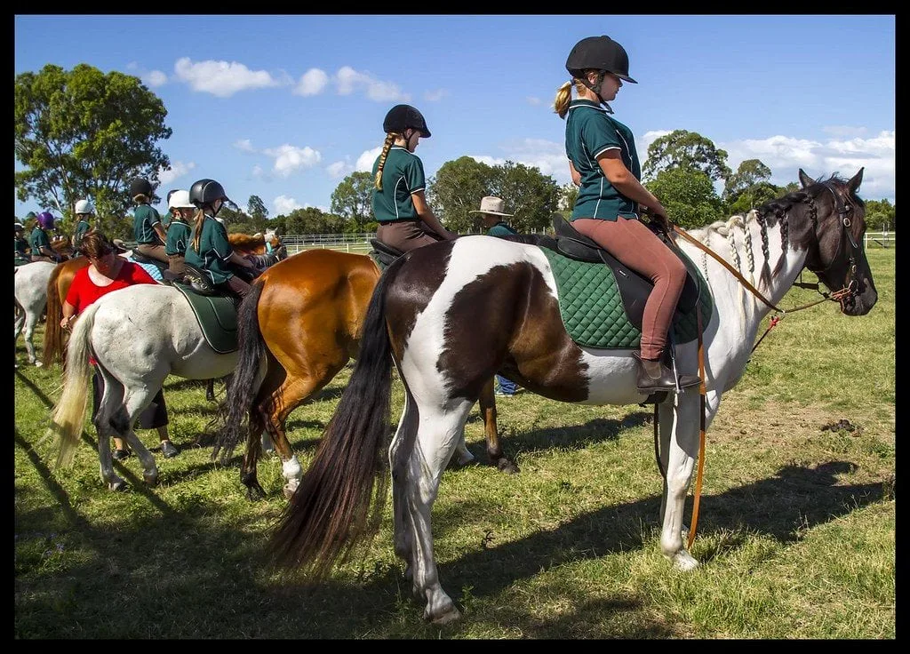 kids on their horses lined up for a race