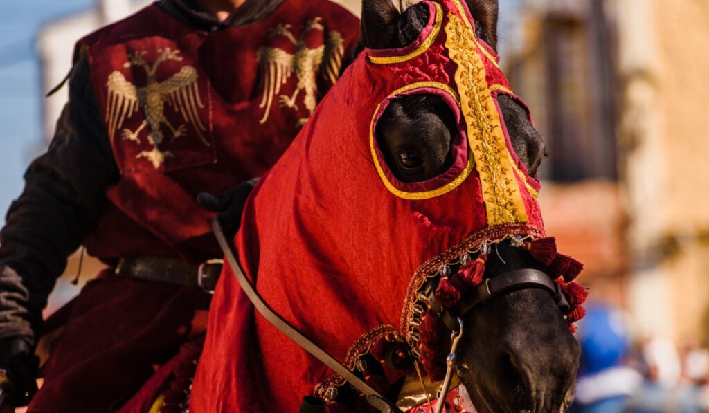 Detail of the armor of a knight mounted on horseback during a display at a medieval festival.
