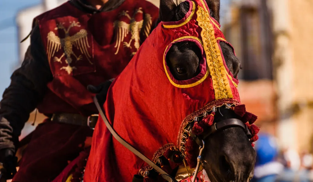 Detail of the armor of a knight mounted on horseback during a display at a medieval festival.