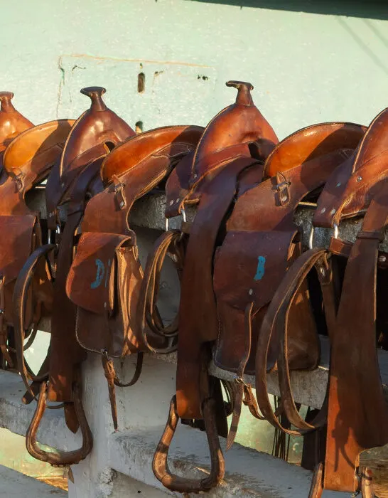 leather western trail saddles with saddle bags