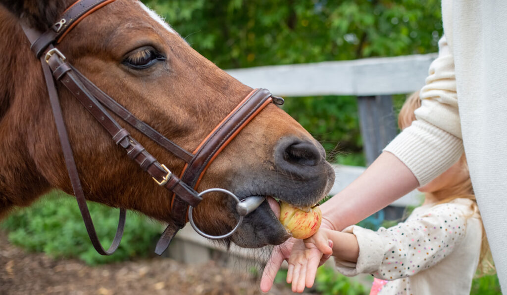little girl feeding horse an apple