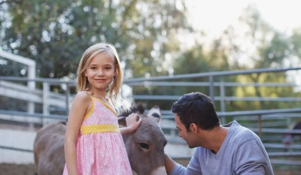 little girl with her donkey pet