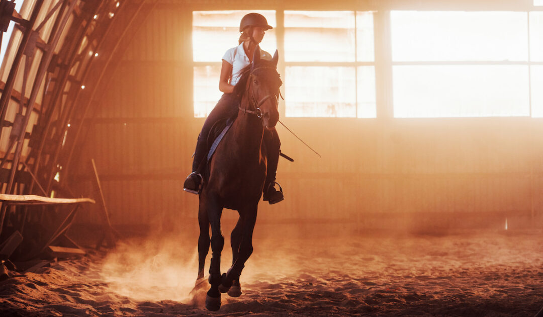 481 Awesome Show Names for Your Horse Helpful Horse Hints